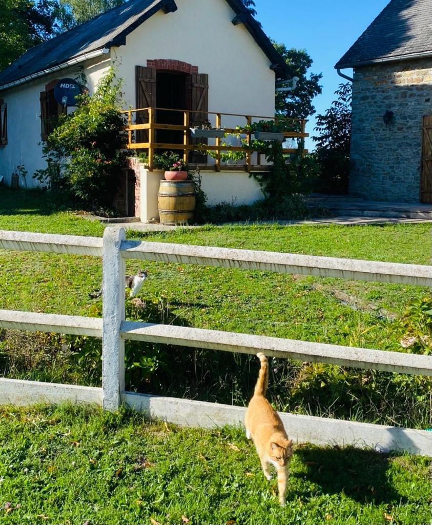 Le Chene D'Or Acomodação com café da manhã Marcheseuil Exterior foto